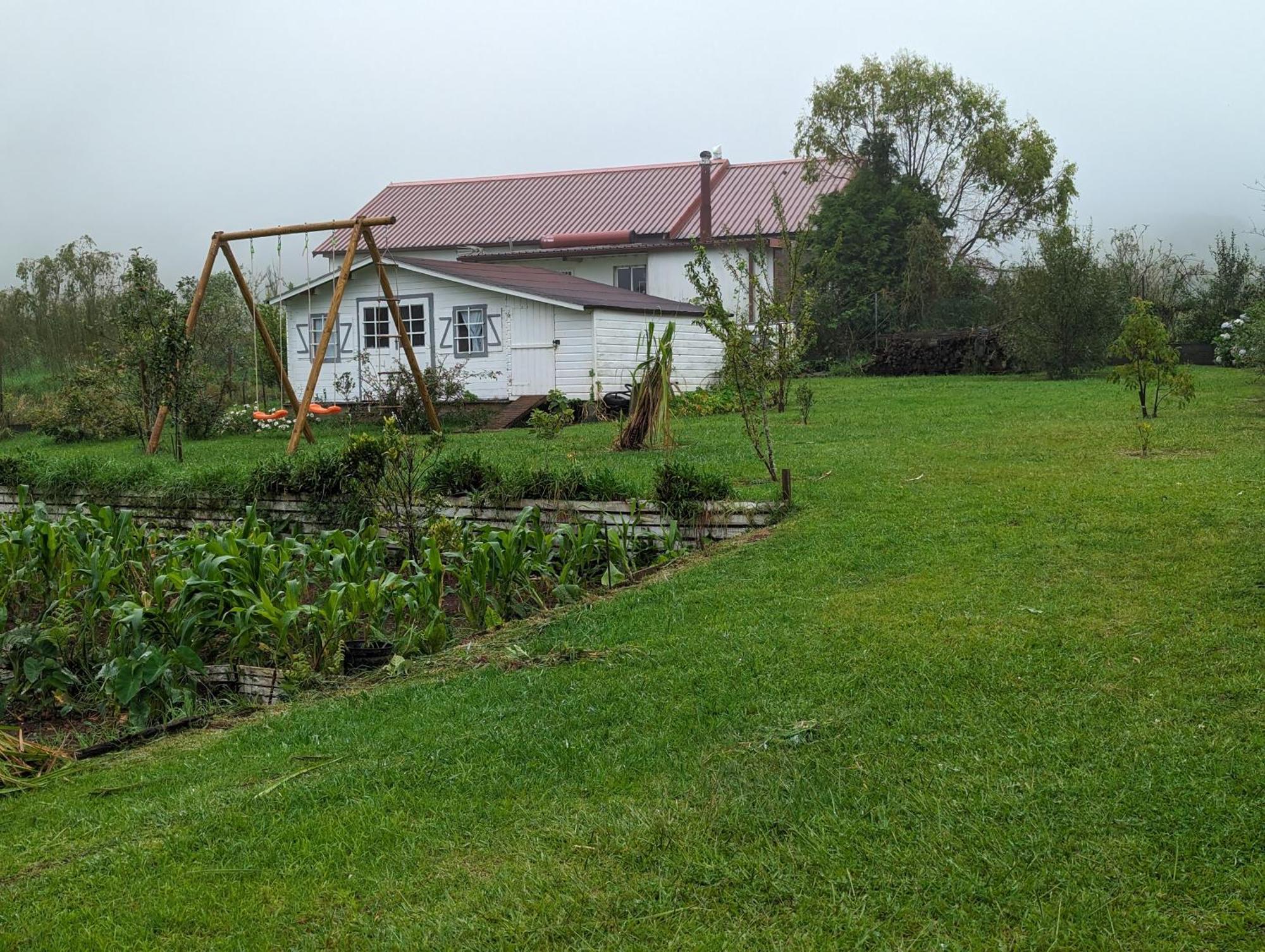 Villa Coeur Des Plaines La Plaine des Palmistes Ngoại thất bức ảnh
